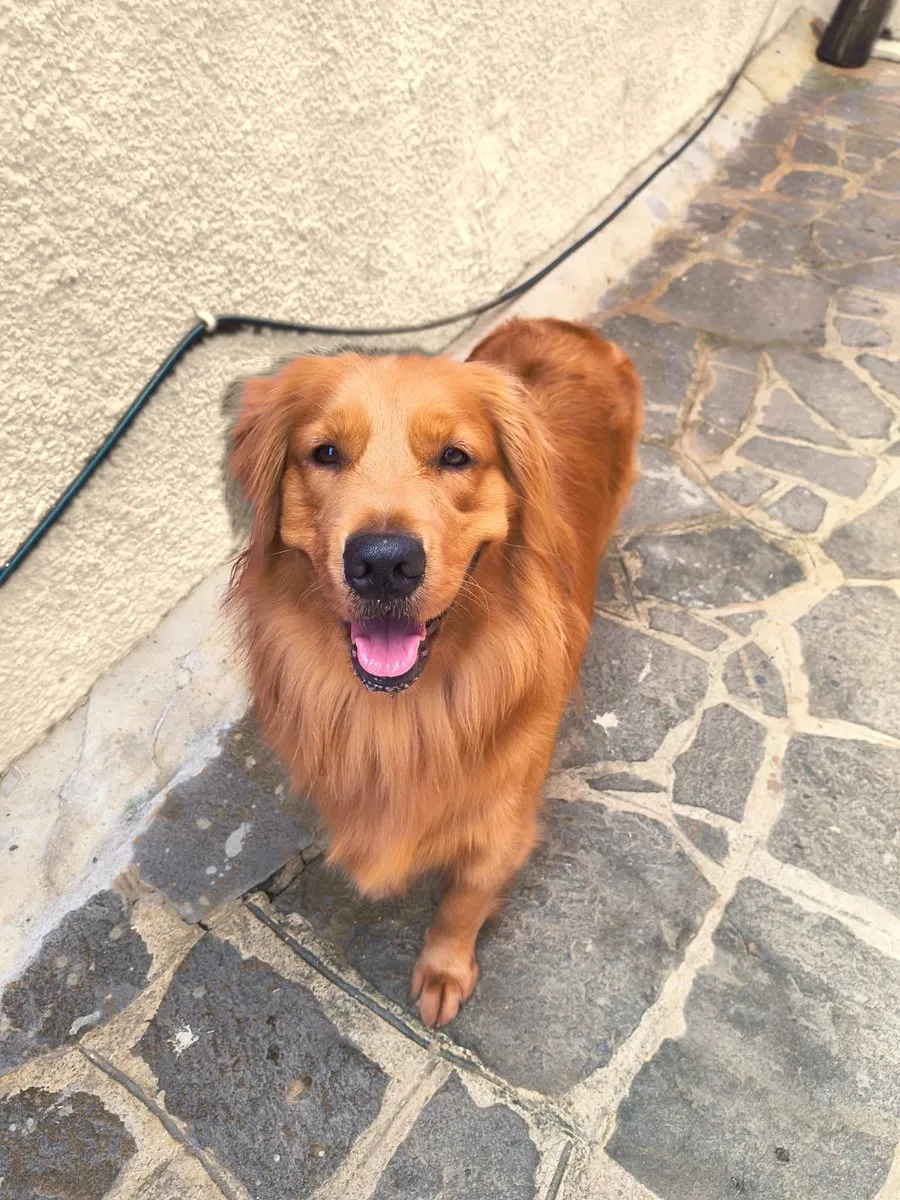 Paçoca, a CEO da Toski Labs, sorrindo